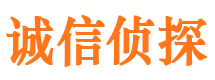 泽州市调查公司